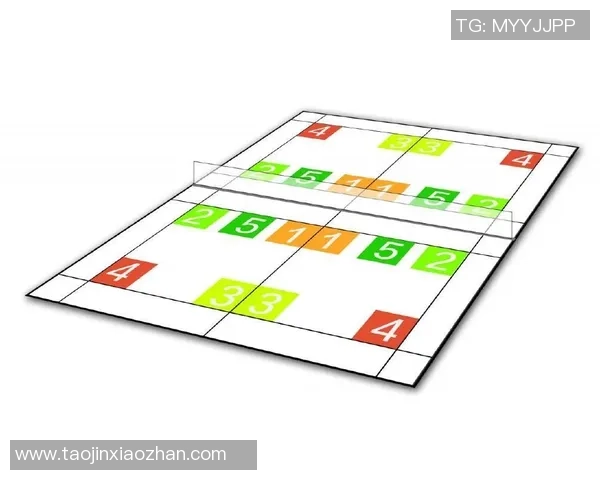 深圳羽毛球队防守战术深度解析与实战应用探讨